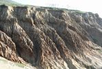 PICTURES/Cabrillo National Monument/t_Eroded Cliffs.JPG